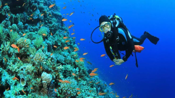 Dive into Wonder The 9 Best Diving Spots in the World