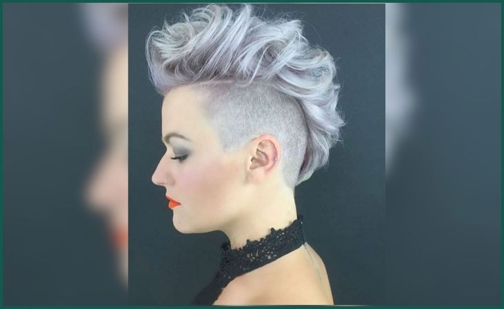 Silver Mohawk