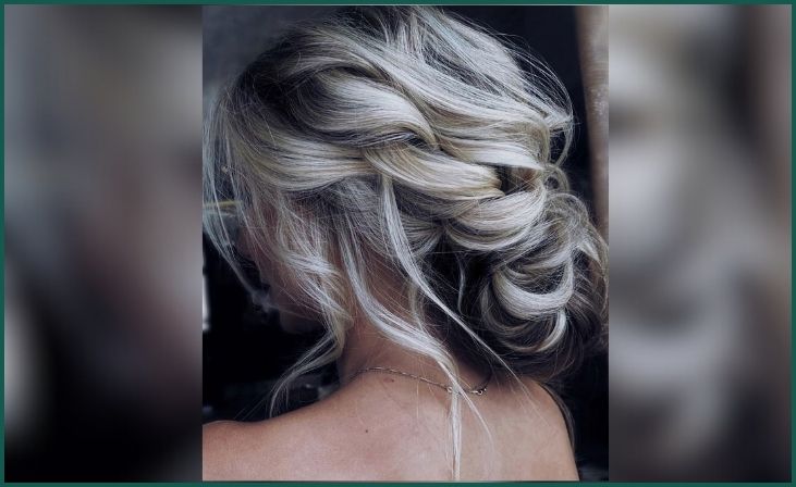 Silver Twisted Updo