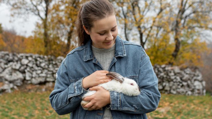7 Need-to-Know Tips to Care for Your Pet Rabbit