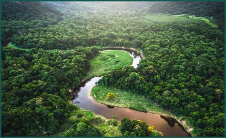 Amazon Rainforest, South America