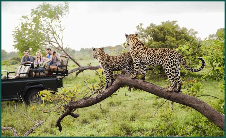 Kruger National Park, South Africa