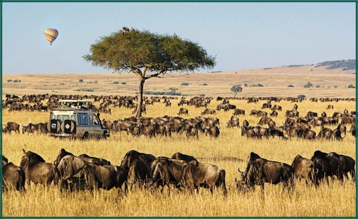 Maasai Mara National Reserve, Kenya