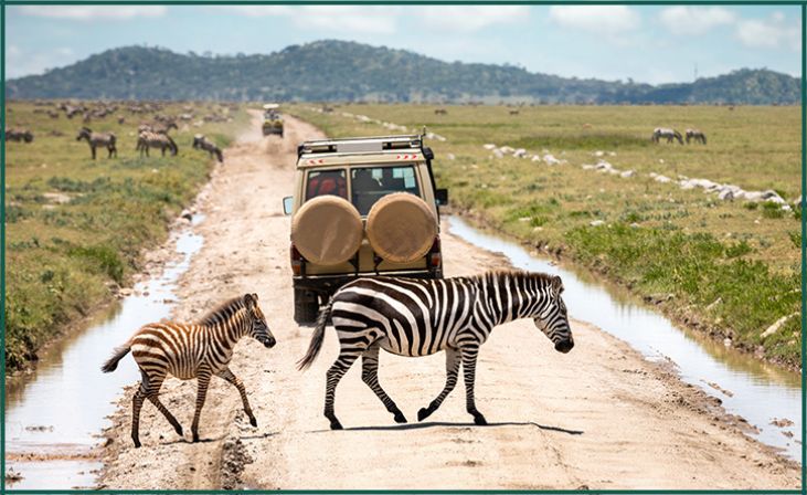 Serengeti National Park, Tanzania