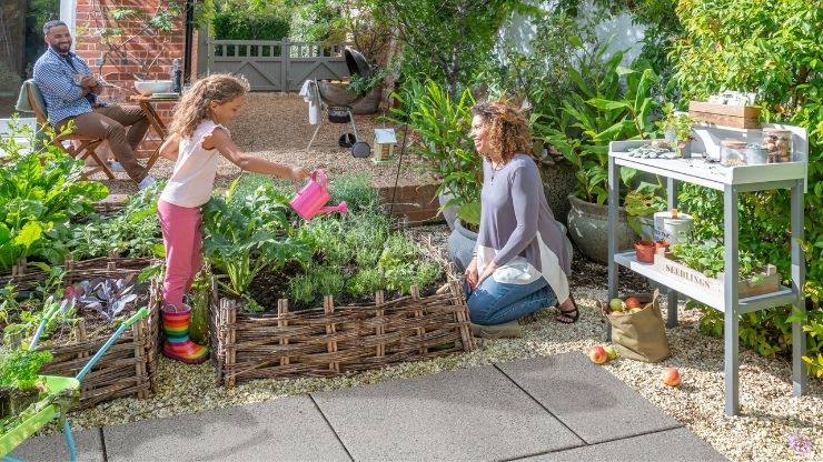 Kitchen Garden Ideas For Beginners