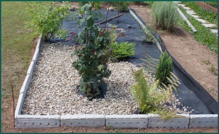 Use Mulch or Gravel for Weed Control