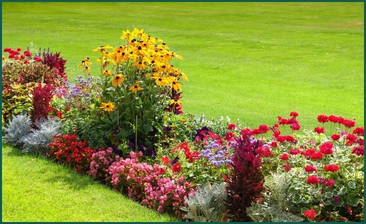 Colorful Flower Beds and Planters